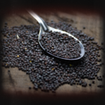 Black Mustard - Bijih